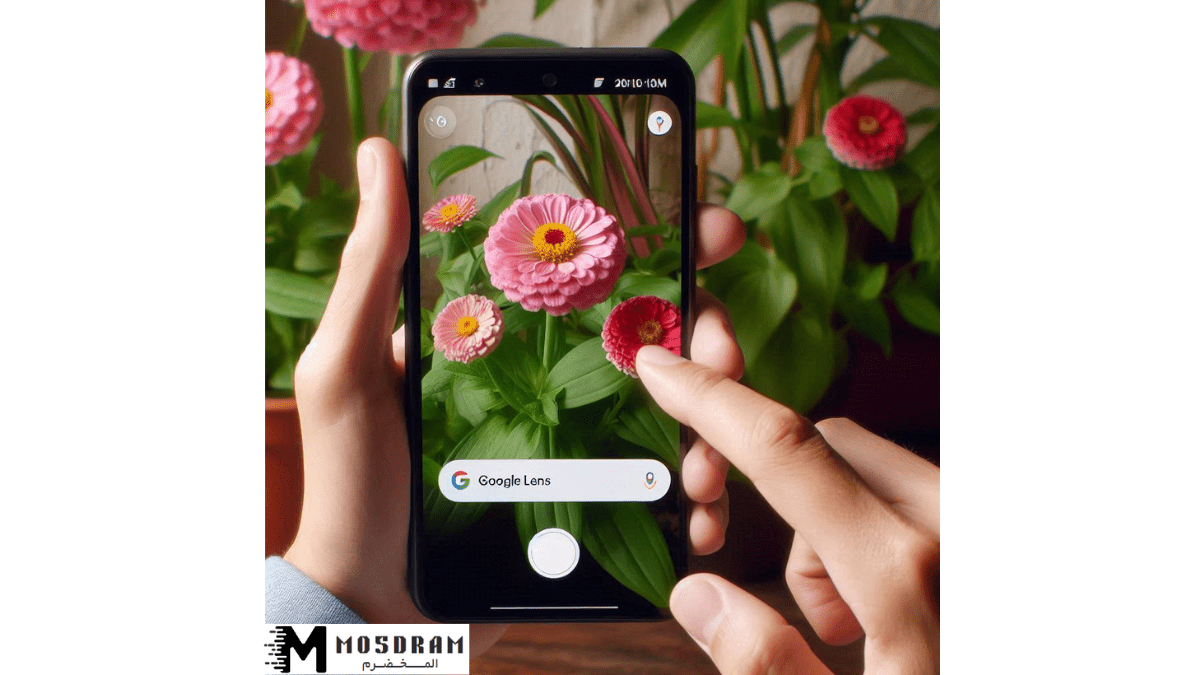 كيفية البحث عن أي صورة باستخدام عدسة google