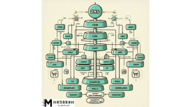 التسلسل الهرمي لـ DNS : كل ما تحتاج إلى معرفته