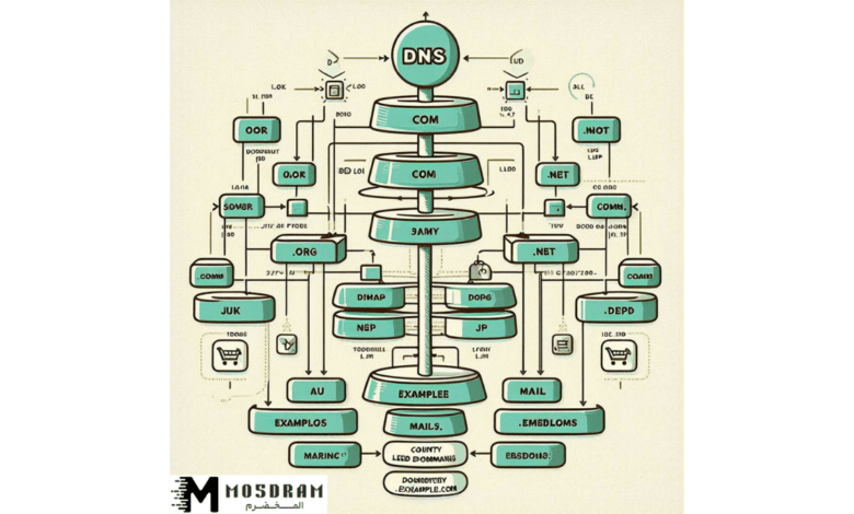 التسلسل الهرمي لـ DNS : كل ما تحتاج إلى معرفته